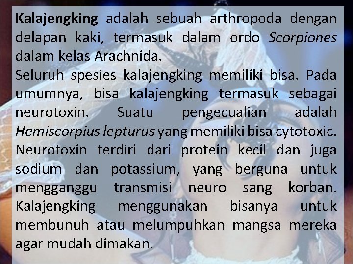 Kalajengking adalah sebuah arthropoda dengan delapan kaki, termasuk dalam ordo Scorpiones dalam kelas Arachnida.
