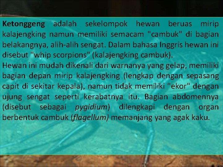 Ketonggeng adalah sekelompok hewan beruas mirip kalajengking namun memiliki semacam "cambuk" di bagian belakangnya,