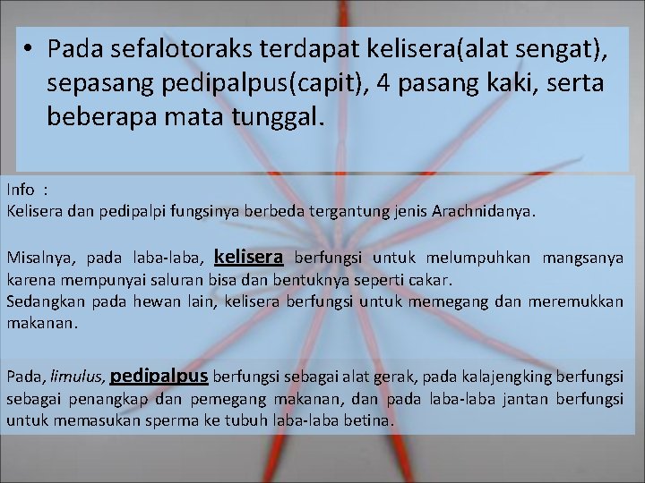  • Pada sefalotoraks terdapat kelisera(alat sengat), sepasang pedipalpus(capit), 4 pasang kaki, serta beberapa