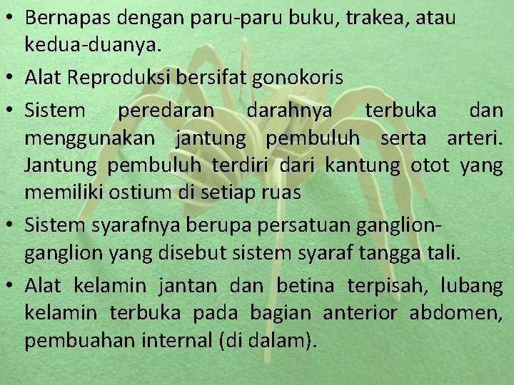  • Bernapas dengan paru-paru buku, trakea, atau kedua-duanya. • Alat Reproduksi bersifat gonokoris