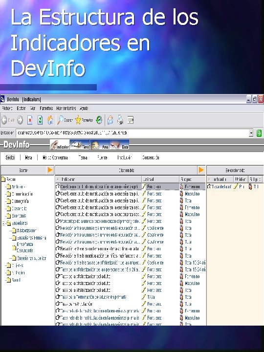 La Estructura de los Indicadores en Dev. Info 