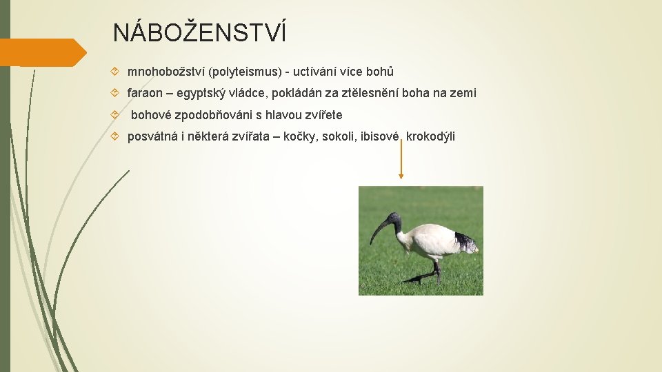 NÁBOŽENSTVÍ mnohobožství (polyteismus) - uctívání více bohů faraon – egyptský vládce, pokládán za ztělesnění