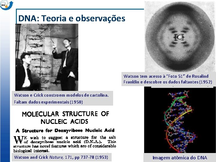 DNA: Teoria e observações Watson tem acesso à “Foto 51” de Rosalind Franklin e