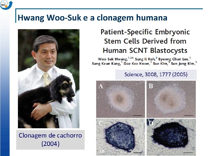 Hwang Woo-Suk e a clonagem humana Science, 3008, 1777 (2005) Clonagem de cachorro (2004)