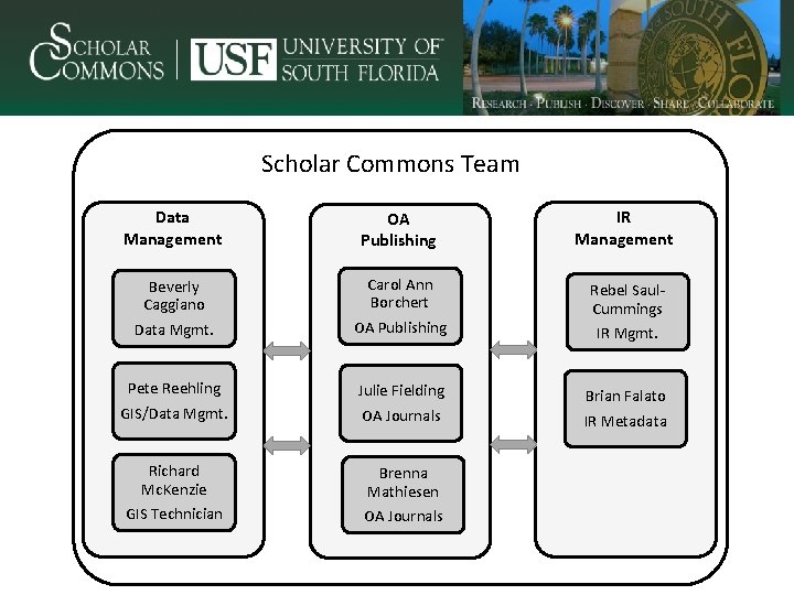 Scholar Commons Team Data Management OA Publishing IR Management Beverly Caggiano Data Mgmt. Carol