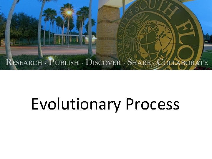 Evolutionary Process 