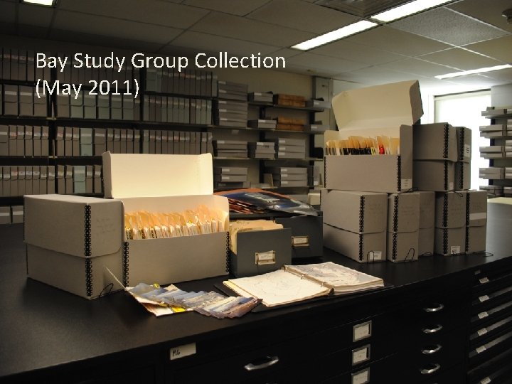 Bay Study Group Collection (May 2011) 