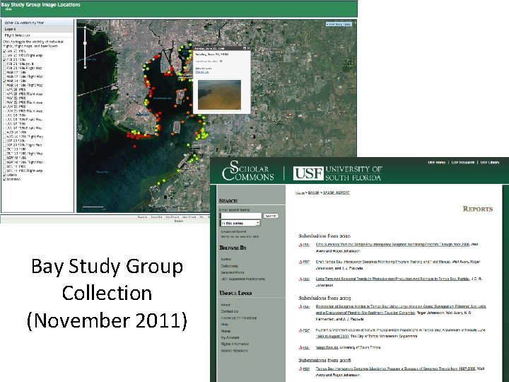 Bay Study Group Collection (November 2011) 