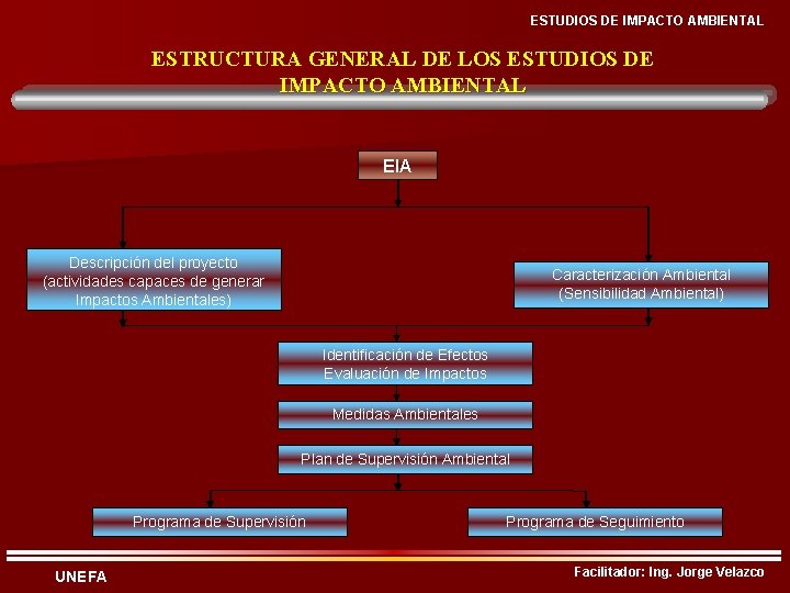 ESTUDIOS DE IMPACTO AMBIENTAL ESTRUCTURA GENERAL DE LOS ESTUDIOS DE IMPACTO AMBIENTAL EIA Descripción