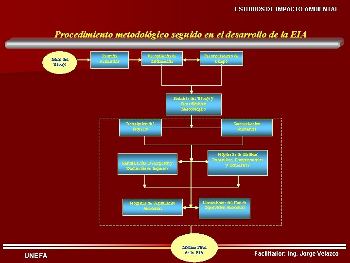 ESTUDIOS DE IMPACTO AMBIENTAL Procedimiento metodológico seguido en el desarrollo de la EIA Inicio
