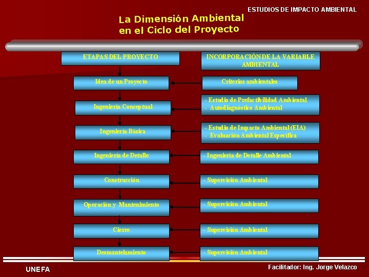 La Dimensión Ambiental en el Ciclo del Proyecto ETAPAS DEL PROYECTO Idea de un