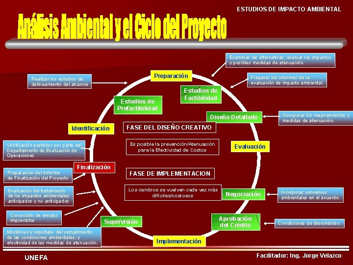 ESTUDIOS DE IMPACTO AMBIENTAL Examinar las alternativas; evaluar los impactos y posibles medidas de