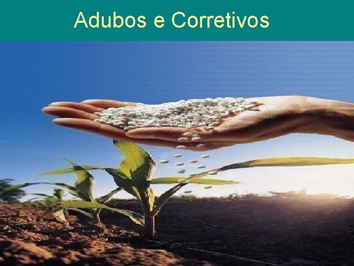 Adubos e Corretivos 