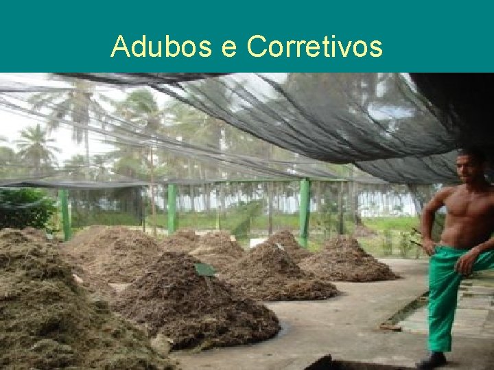 Adubos e Corretivos 