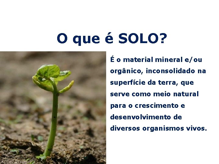 O que é SOLO? É o material mineral e/ou orgânico, inconsolidado na superfície da