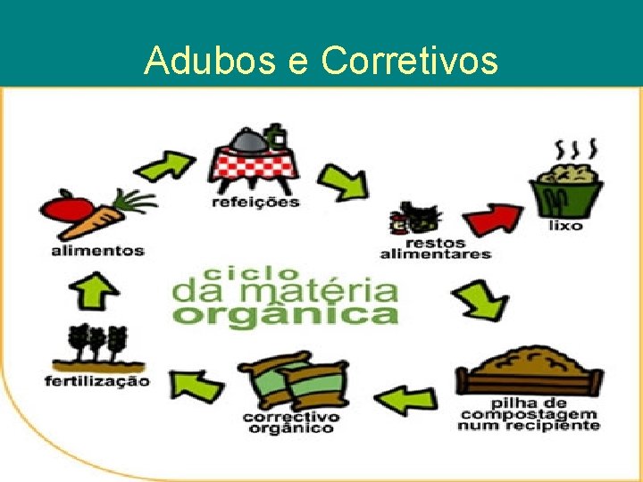 Adubos e Corretivos 