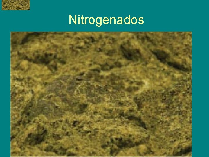 Nitrogenados 