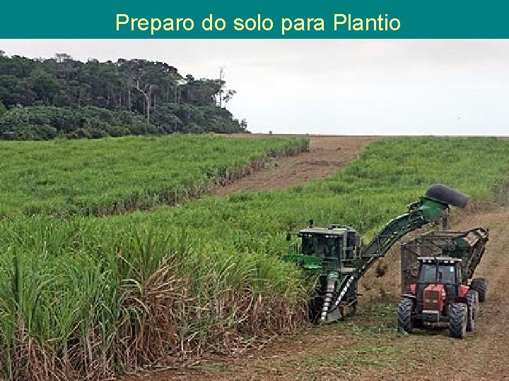 Preparo do solo para Plantio 