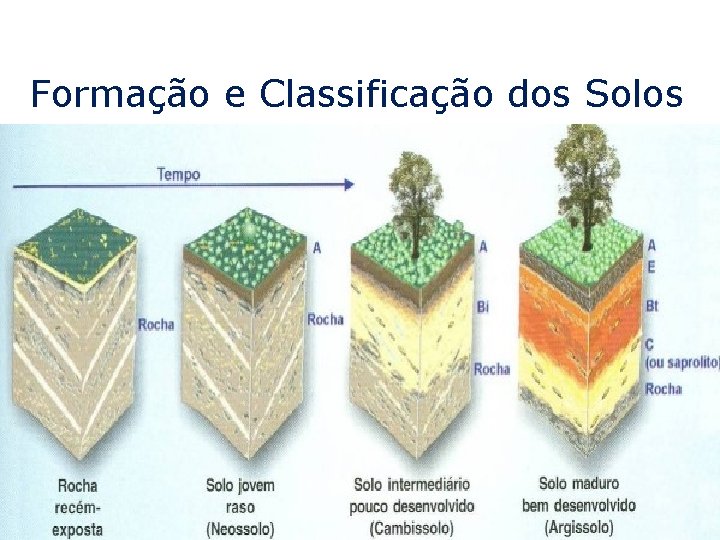 Formação e Classificação dos Solos 