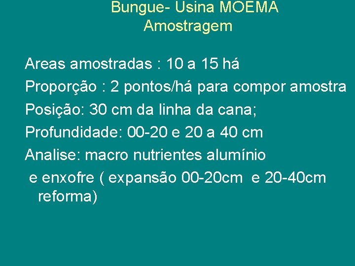 Bungue- Usina MOEMA Amostragem Areas amostradas : 10 a 15 há Proporção : 2