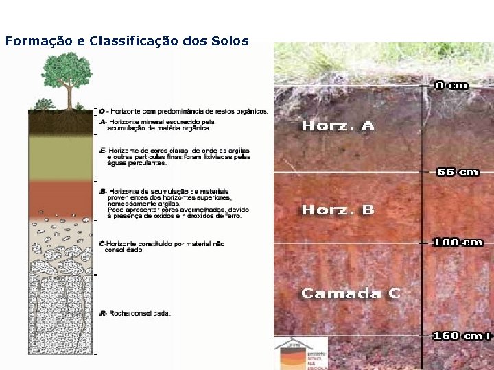 Formação e Classificação dos Solos 