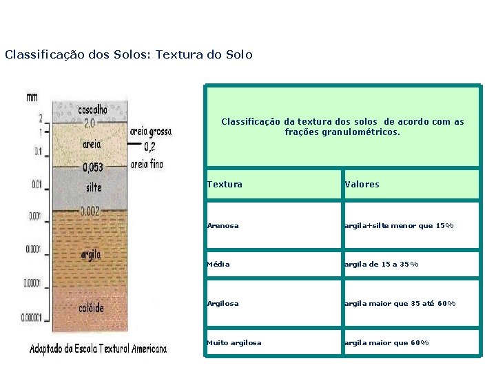 Classificação dos Solos: Textura do Solo Classificação da textura dos solos de acordo com