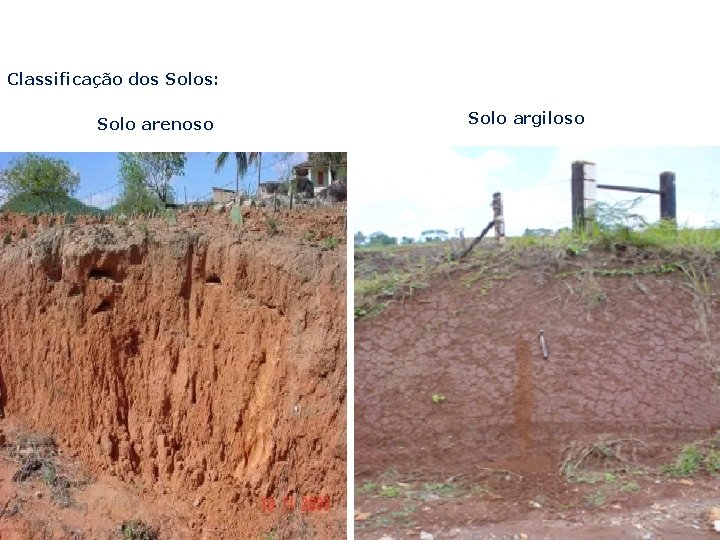 Classificação dos Solos: Solo arenoso Solo argiloso 