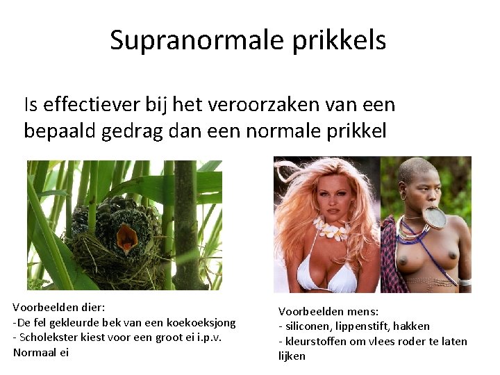 Supranormale prikkels Is effectiever bij het veroorzaken van een bepaald gedrag dan een normale