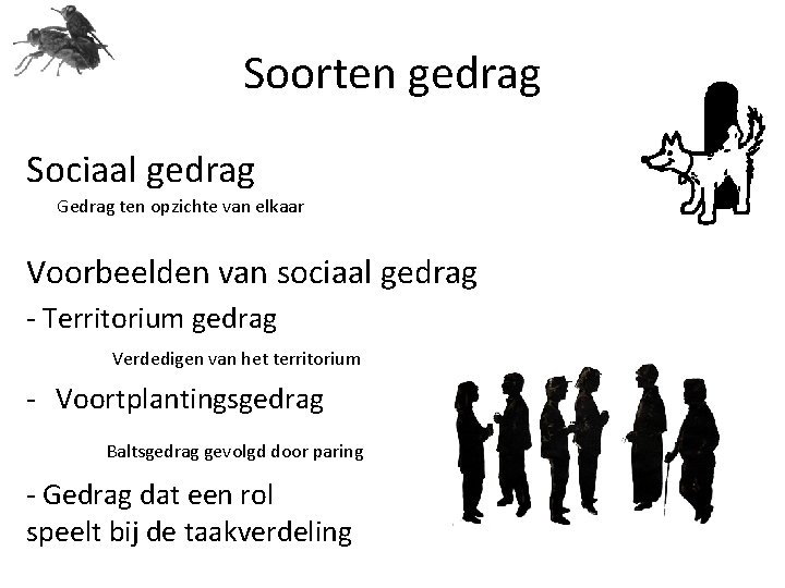 Soorten gedrag Sociaal gedrag Gedrag ten opzichte van elkaar Voorbeelden van sociaal gedrag -