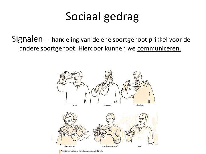 Sociaal gedrag Signalen – handeling van de ene soortgenoot prikkel voor de andere soortgenoot.