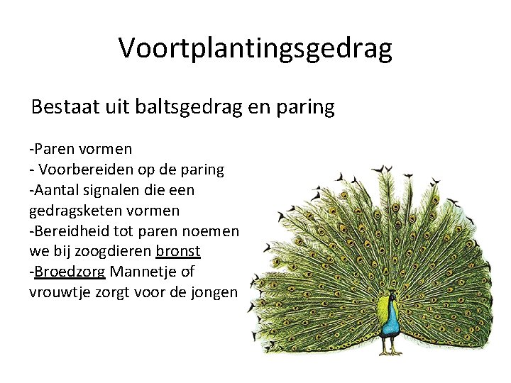 Voortplantingsgedrag Bestaat uit baltsgedrag en paring -Paren vormen - Voorbereiden op de paring -Aantal
