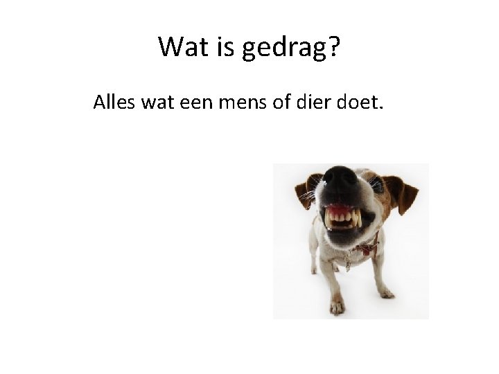 Wat is gedrag? Alles wat een mens of dier doet. 