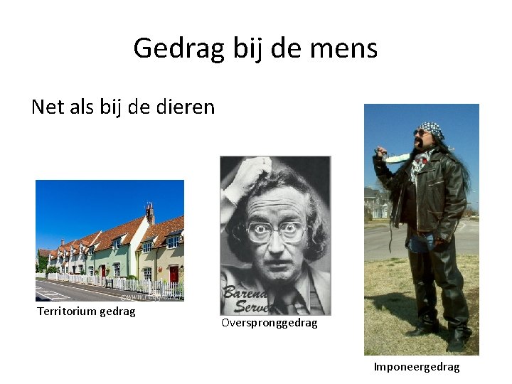 Gedrag bij de mens Net als bij de dieren Territorium gedrag Overspronggedrag Imponeergedrag 