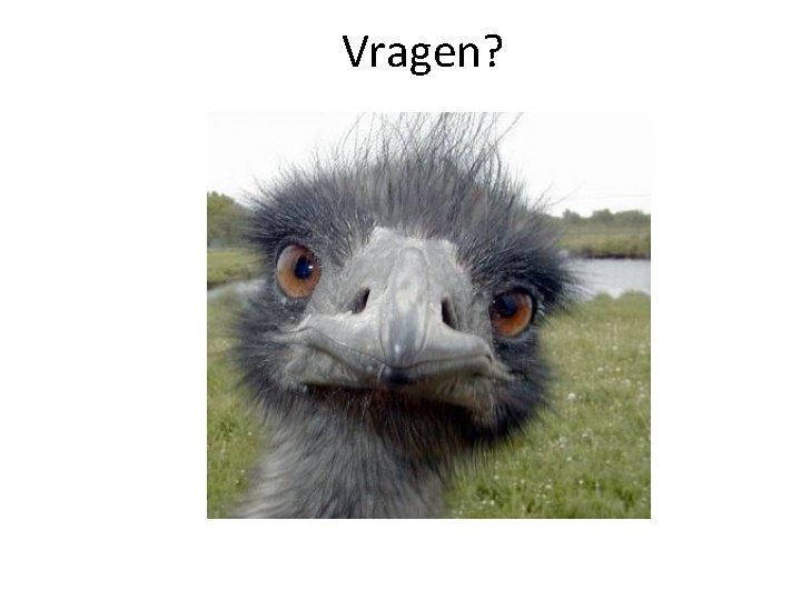 Vragen? 