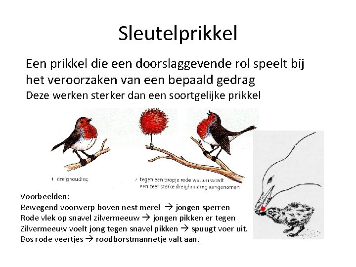 Sleutelprikkel Een prikkel die een doorslaggevende rol speelt bij het veroorzaken van een bepaald