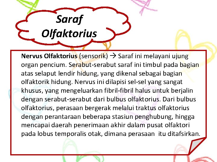 Saraf Olfaktorius Nervus Olfaktorius (sensorik) Saraf ini melayani ujung organ pencium. Serabut-serabut saraf ini