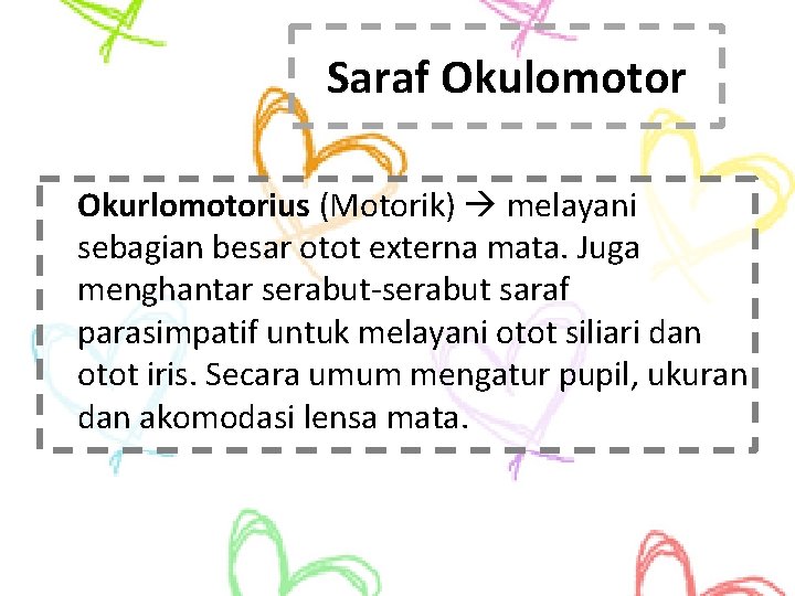 Saraf Okulomotor Okurlomotorius (Motorik) melayani sebagian besar otot externa mata. Juga menghantar serabut-serabut saraf
