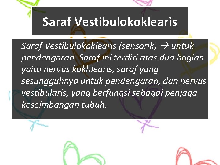 Saraf Vestibulokoklearis (sensorik) untuk pendengaran. Saraf ini terdiri atas dua bagian yaitu nervus kokhlearis,