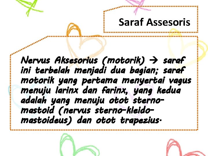 Saraf Assesoris Nervus Aksesorius (motorik) saraf ini terbelah menjadi dua bagian; saraf motorik yang