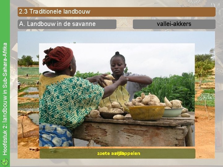 2. 3 Traditionele landbouw Hoofdstuk 2: landbouw in Sub-Sahara-Afrika A. Landbouw in de savanne
