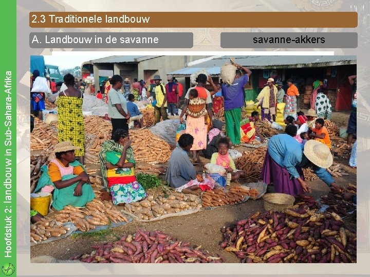 2. 3 Traditionele landbouw Hoofdstuk 2: landbouw in Sub-Sahara-Afrika A. Landbouw in de savanne-akkers
