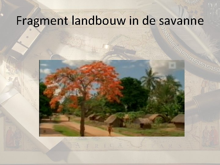 Fragment landbouw in de savanne 