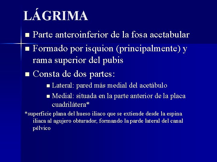LÁGRIMA Parte anteroinferior de la fosa acetabular Formado por isquion (principalmente) y rama superior