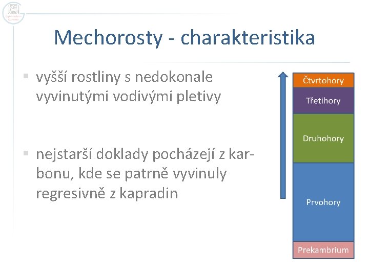 Mechorosty - charakteristika § vyšší rostliny s nedokonale vyvinutými vodivými pletivy § nejstarší doklady