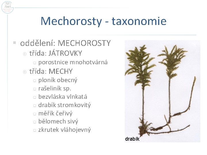 Mechorosty - taxonomie § oddělení: MECHOROSTY třída: JÁTROVKY q porostnice mnohotvárná třída: MECHY ploník