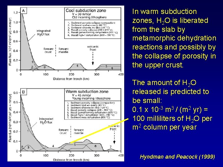 In warm subduction zones, H 2 O is liberated from the slab by metamorphic