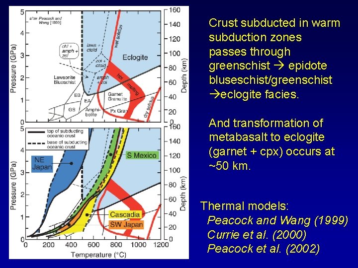 Crust subducted in warm subduction zones passes through greenschist epidote bluseschist/greenschist eclogite facies. And
