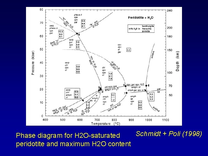 Schmidt + Poli (1998) Phase diagram for H 2 O-saturated peridotite and maximum H