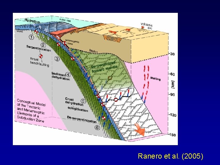 Ranero et al. (2005) 