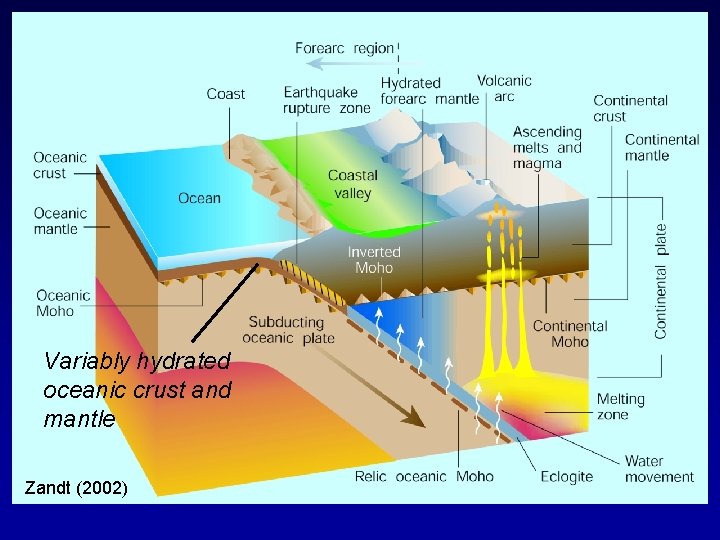 Variably hydrated oceanic crust and mantle Zandt (2002) 